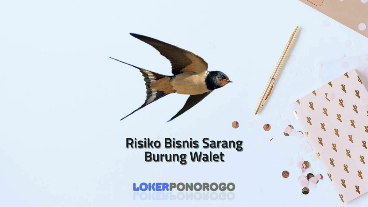 Risiko Bisnis Sarang Burung Walet, Fikirkan Ini Sebelum Memulai!