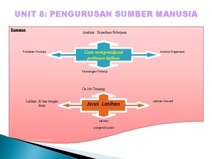 Panduan Praktis: Tips Sukses untuk Karyawan Baru